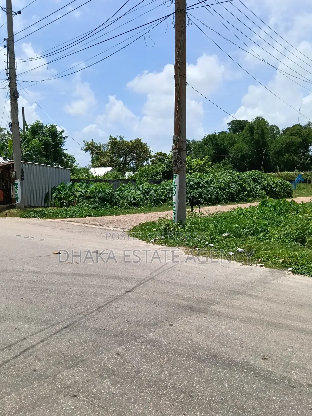 Block-M, South 10 Katha Plot Sale