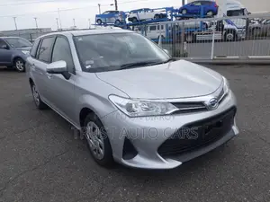 Toyota Corolla Fielder 2021 Silver