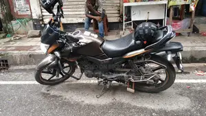 হিরো হাঙ্ক ২০১৮ গ্রে