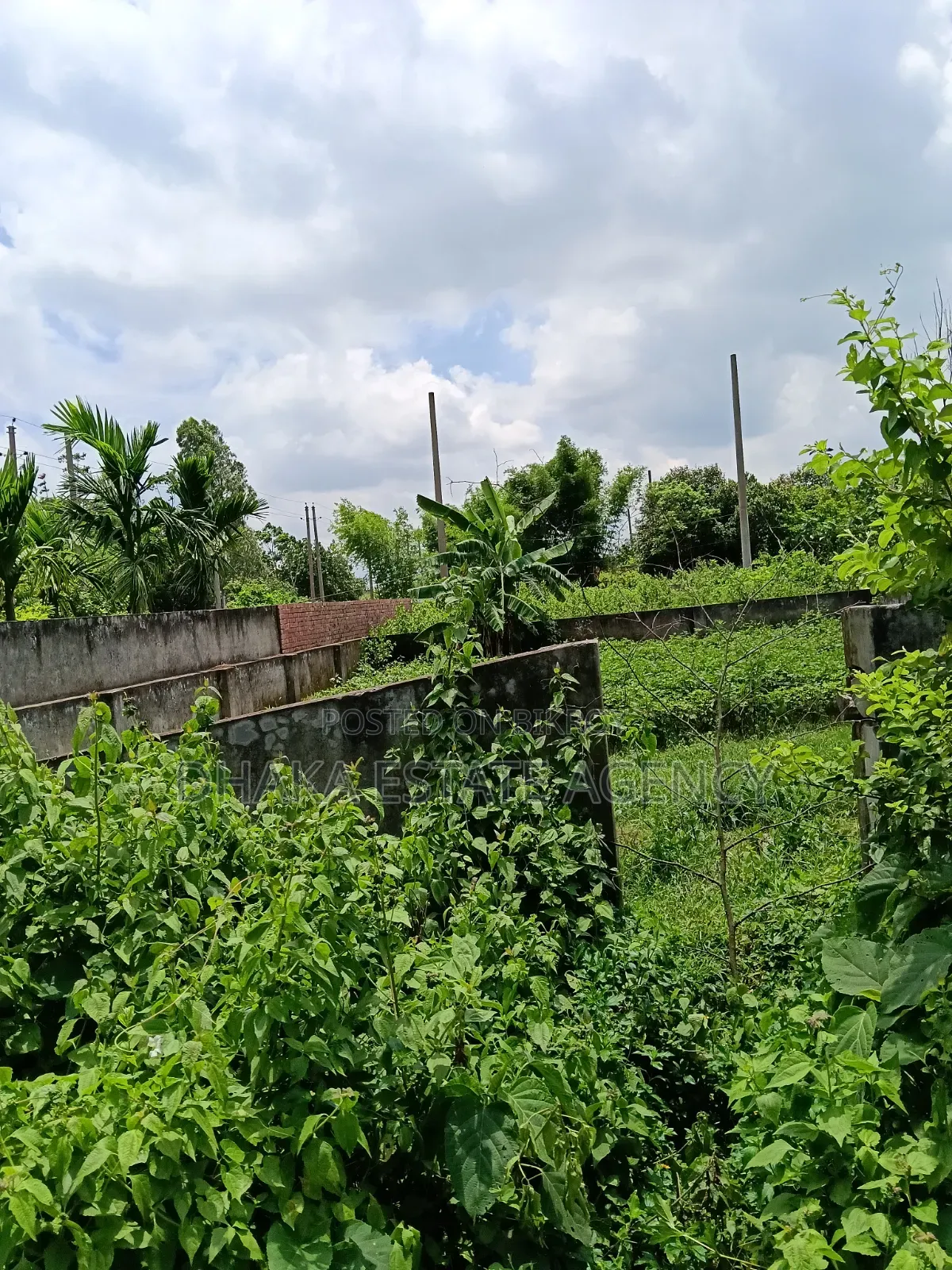 Block-N, South Face 10+10+10=30 Katha Plot Sale