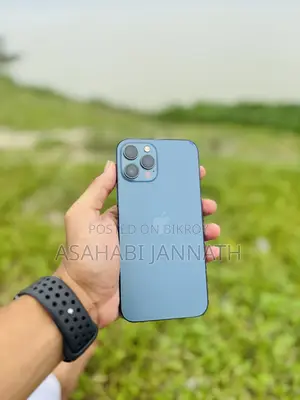 Apple iPhone 12 Pro Max 512 GB Blue