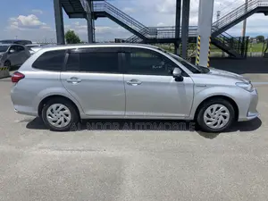 Toyota Corolla Fielder 2021 Silver