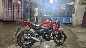Roadmaster Rapido 165 2018 Red