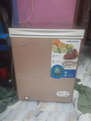 Electra Deep Freezer