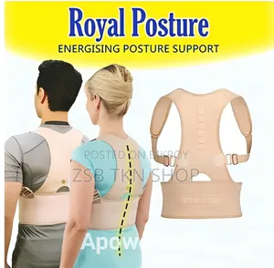 Royal Posture Back Support for mild back pain or spinal discomfort