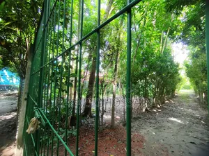 Bandura Deotola