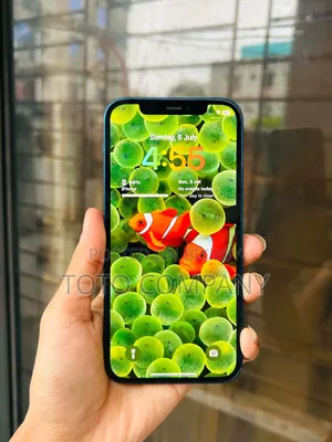 অ্যাপল আইফোন ১২ ৬৪ জিবি ব্লু