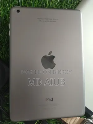 Apple iPad mini 2 16 GB