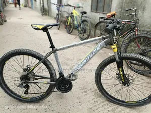 ভেলোচে সাইকেল
