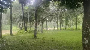 Land Sale for Resort