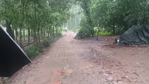Land Sale for Resort