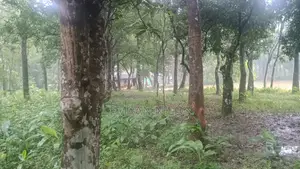 Land Sale for Resort