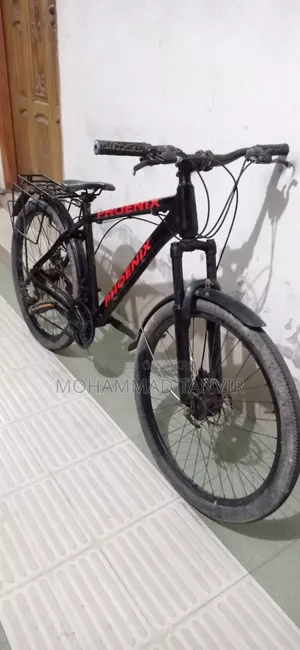 ফিনিক্স নন গিয়ার সাইকেল