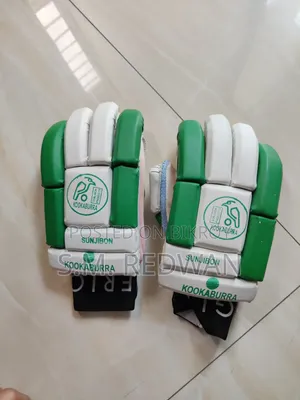 Cricket Ball and Gloves