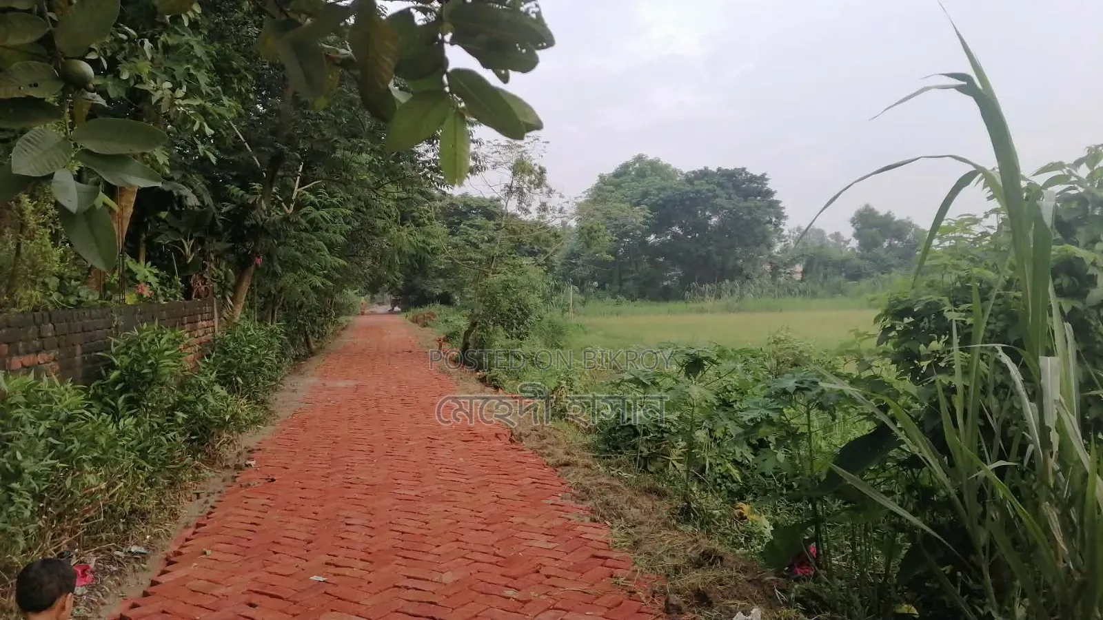 Contact if you need larger land within Keraniganj
