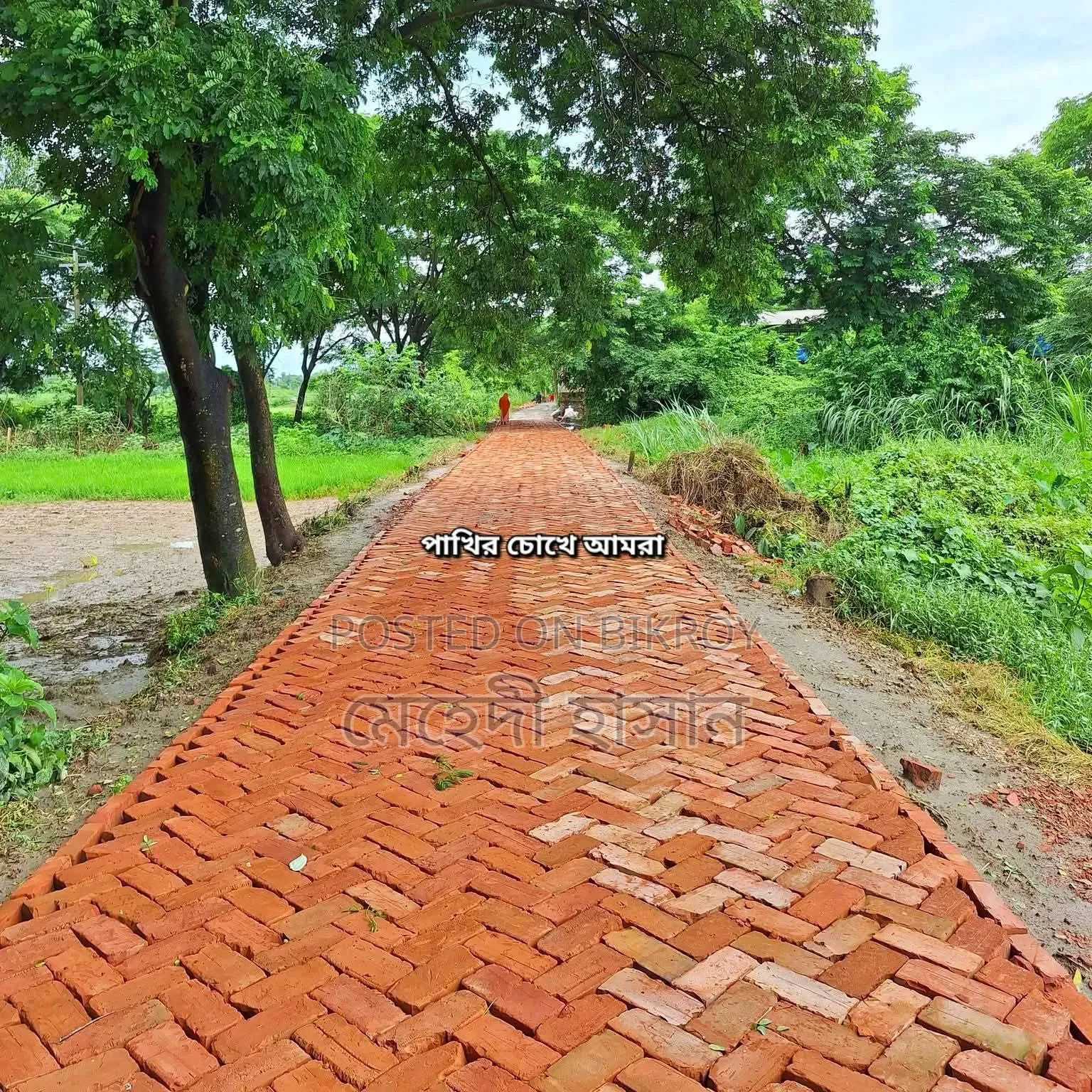 Contact if you need larger land within Keraniganj