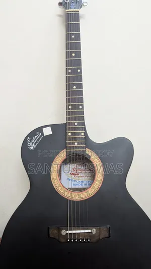Indian Signature Guitar