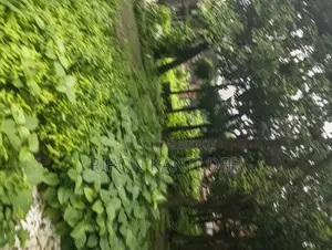 ল্যান্ড ক্যালেন্ডার ফ্যাক্টরি সেল
