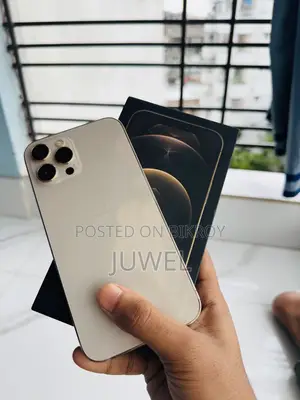 Apple iPhone 12 Pro Max 256 GB Rose Gold