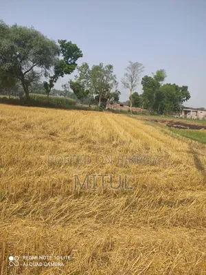 Land for Sale Jomi Rajshahi