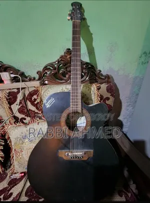 Indian Signature Guitar