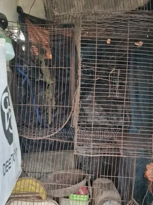 পাখির খাচা