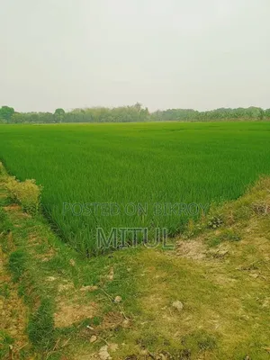 Agricultural land for sale. Located one plot behind the main road.