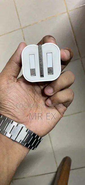 Apple Original Adapter (Got it with iPad, so it is 100% original)