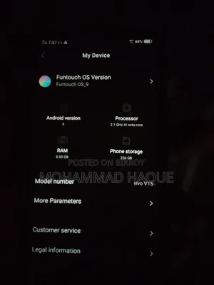 Vivo V15 256 GB