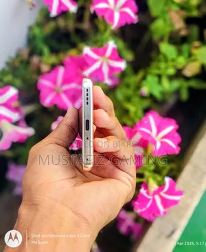 Realme 12 Pro+ ২৫৬ জিবি লাল