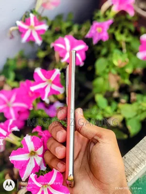 Realme 12 Pro+ ২৫৬ জিবি লাল