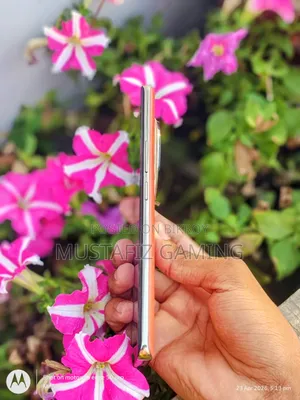 Realme 12 Pro+ ২৫৬ জিবি লাল