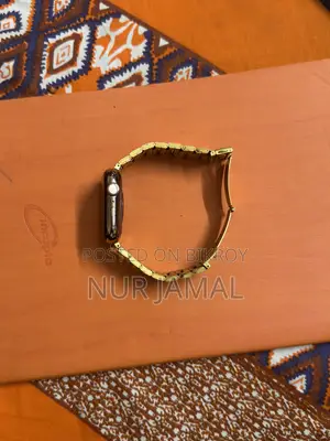 Apple Watch 5 Stainless Steel Frame