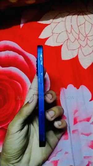 অ্যাপল আইফোন ১২ মিনি ১২৮ জিবি ব্লু