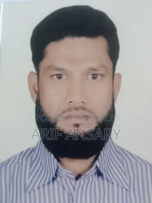 আরিফ আনসারি