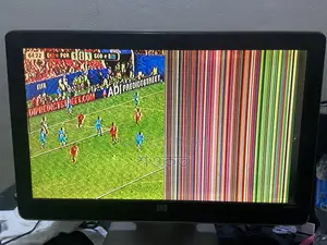HP Monitor
