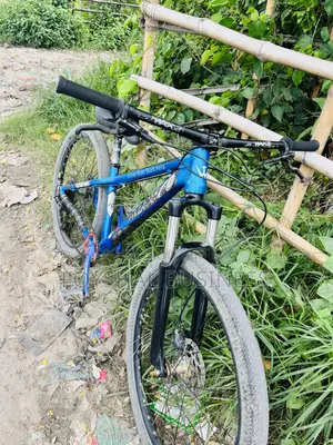Cycle Bicycle
