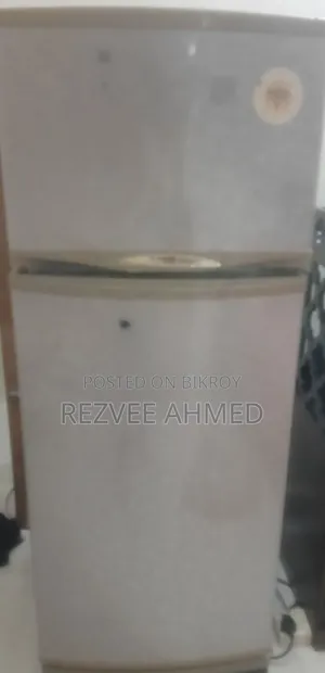 Singer Fridge Sale Post