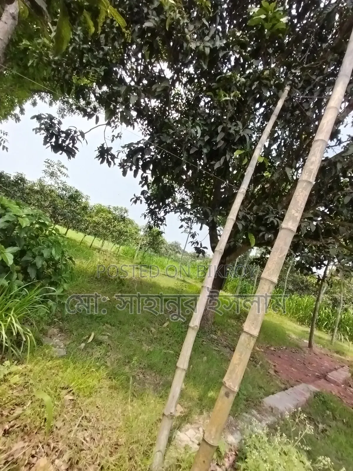 Land for sale