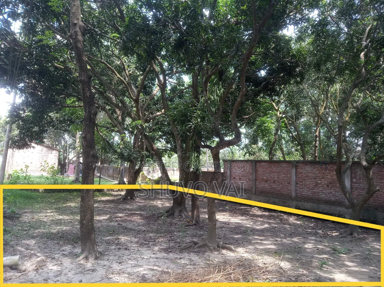 জরুরি প্রয়োজনে জমি বিক্রি করবো।