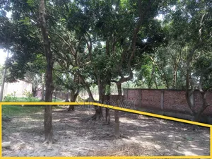 জরুরি প্রয়োজনে জমি বিক্রি করবো।