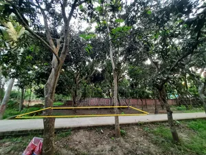 জরুরি প্রয়োজনে জমি বিক্রি করবো।