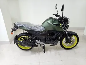 New Yamaha FZ 2025