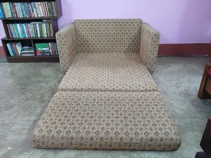 Sofa Cum Bed (Regal)