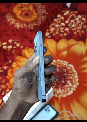 অ্যাপল আইফোন ১৩ প্রো ২৫৬ জিবি ধূসর