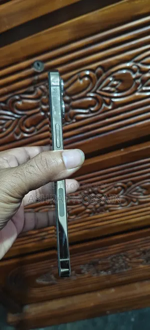 অ্যাপল আইফোন ১২ প্রো ম্যাক্স ২৫৬ জিবি রোজ গোল্ড