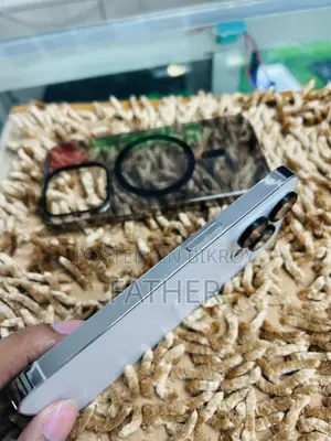 অ্যাপল আইফোন ১৪ প্রো ১২৮ জিবি সিলভার