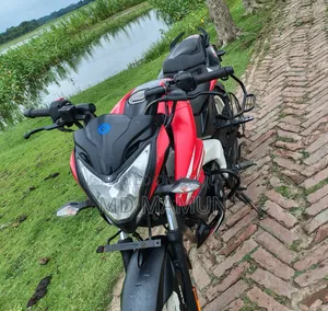 বাজাজ পালসার এনএস ১৬০ ২০২১ লাল