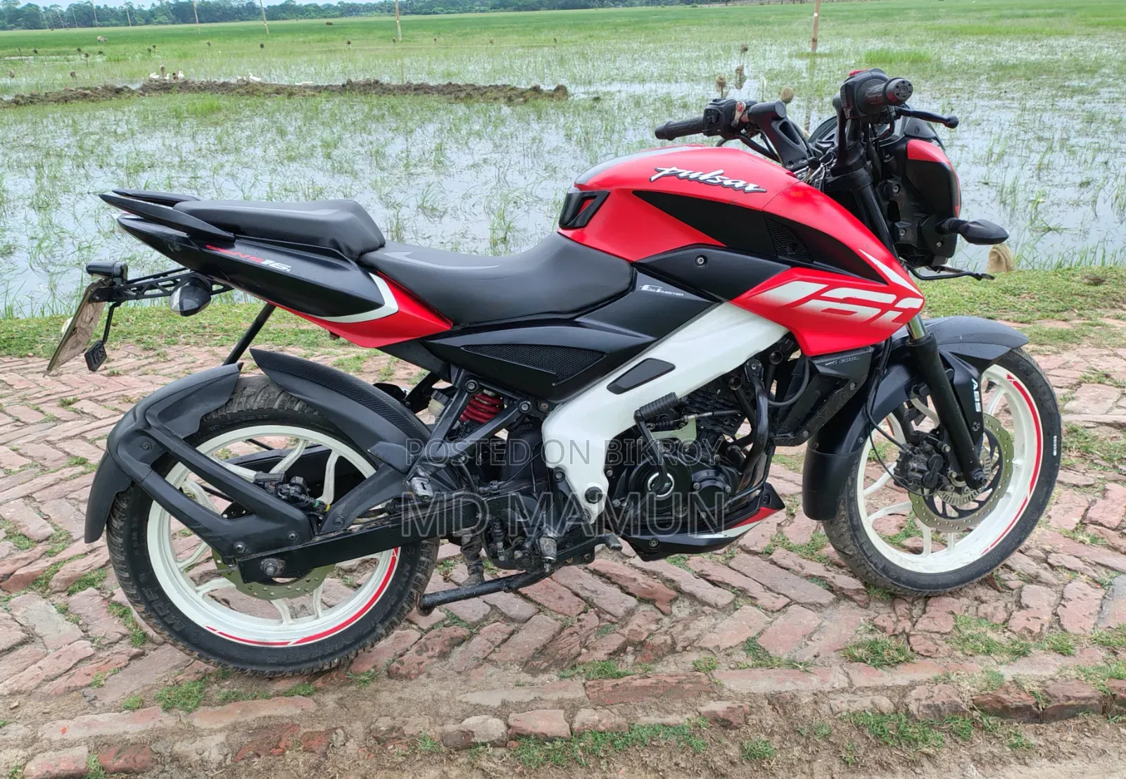 বাজাজ পালসার এনএস ১৬০ ২০২১ লাল