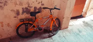 Fresh Condition Bicycle (Age:8-13)
